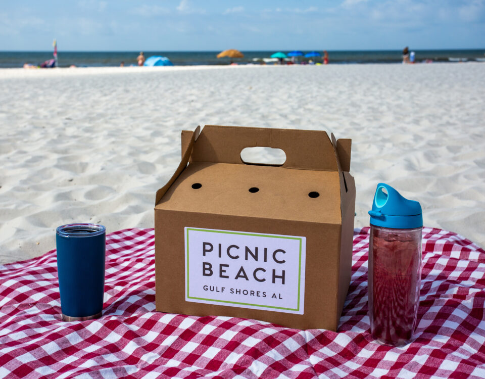 3 Healthy Meal Planning Tips for Your Gulf Shores Vacation Picnic Beach